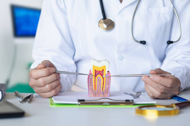 Best Emergency Dental Care for Broken or Chipped Teeth in Buckeye Lake, OH